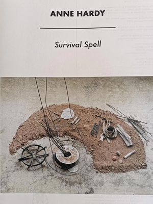 Cover of the book Anne Hardy: Survival Spell.