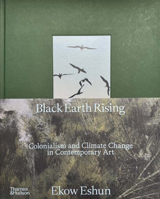 Cover of the book Black Earth Rising. It features a photo of birds in flight above an abstract painted landscape.