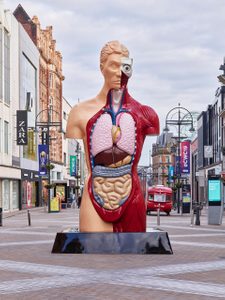 Sculpture of an oversized anatomical model of a male torso displaying the major organs and muscles.