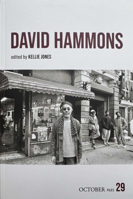 Cover of the book David Hammons.