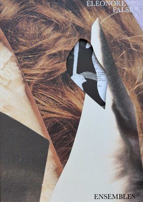 Cover of the book Éléonore False: Ensembles.