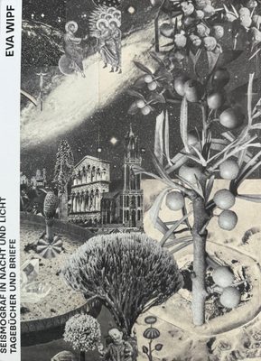 Cover of the book Eva Wipf: Seismograf In Nacht Und Licht.