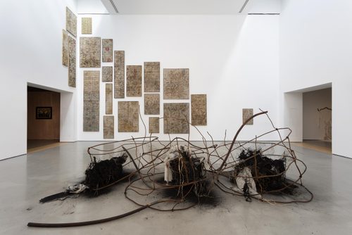 A double-height gallery space, with a sculpture made of burned material and rusted wire in the foreground, and around twenty large 'taxonomy boxes' mounted to the wall behind.