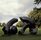A large, abstract bronze sculpture on display in a park setting