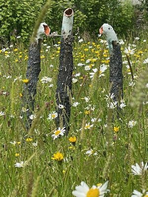 Three slender cylindrical sculptures standing amid flowers in a meadow.