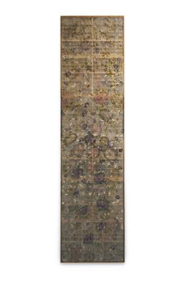 A very tall series of taxonomical boxes, filled with silkworm cocoons.