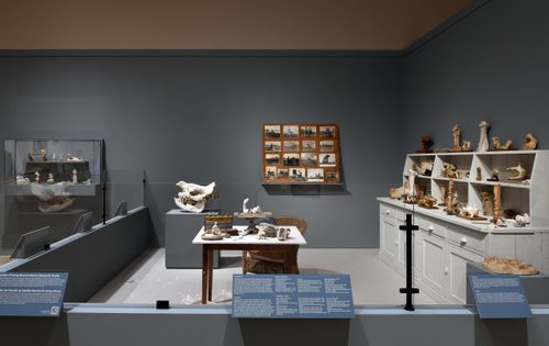 A recreation of Henry Moore's studio, with an elephant skull on a plinth, and a small desk and sideboard displaying numerous small sculptures and found objects such as bones and stones.