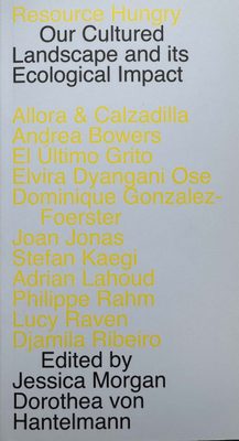 Cover of the book Resource Hungry, in yellow and black text on a grey background.