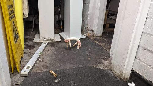 Sculpture of a small worm-like sculpture with pegs attached as legs.