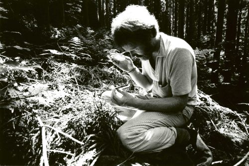 Black and white photo of a man in a forest. He is holding a magnifying lens in one hand, pointed at a twig held in the other.
