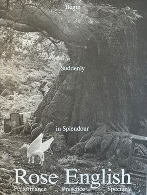 Cover of the book Rose English.